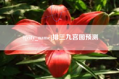 邢台排三九宫图预测