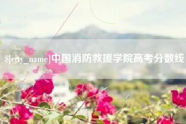 邢台中国消防救援学院高考分数线