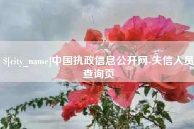 邢台中国执政信息公开网-失信人员查询页