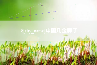 邢台中国几金牌了