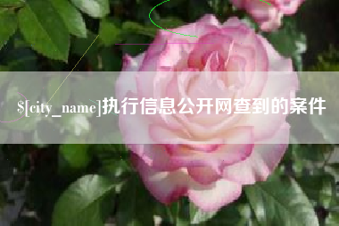 邢台执行信息公开网查到的案件