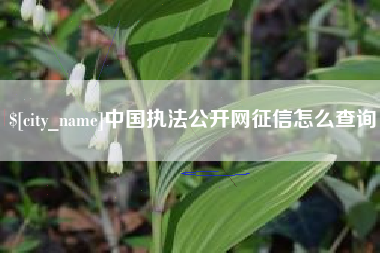 邢台中国执法公开网征信怎么查询