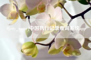 邢台中国执行记录查询系统app