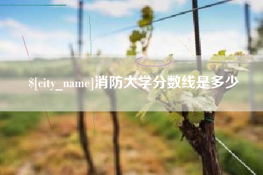 邢台消防大学分数线是多少