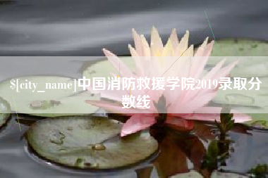 邢台中国消防救援学院2019录取分数线