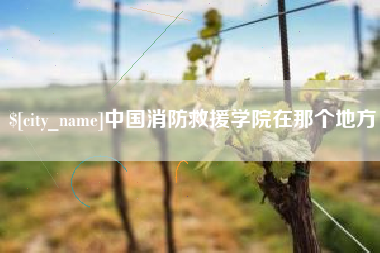 邢台中国消防救援学院在那个地方
