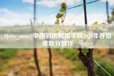 邢台中国消防救援学院2020年各省录取分数线