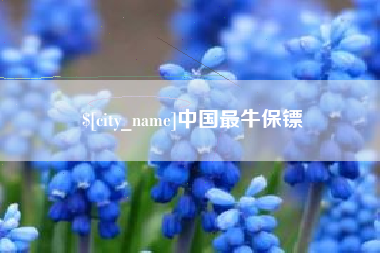 邢台中国最牛保镖