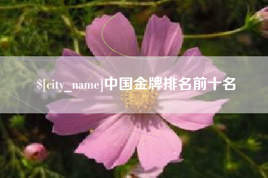 邢台中国金牌排名前十名