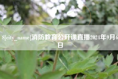 邢台消防教育公开课直播2024年9月6日