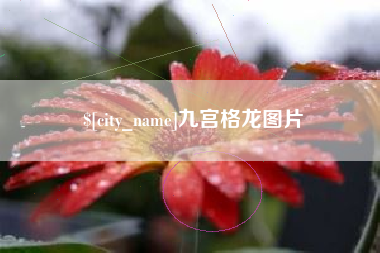 邢台九宫格龙图片