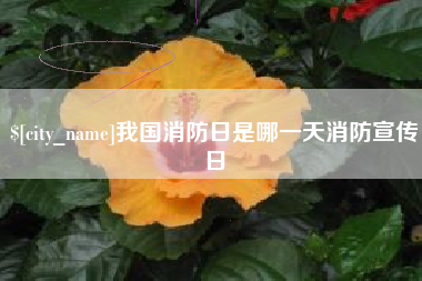 邢台我国消防日是哪一天消防宣传日
