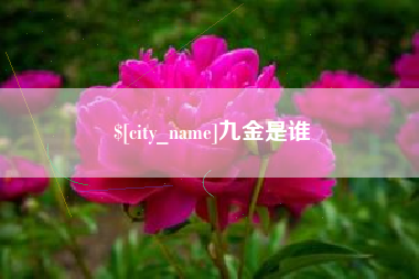 邢台九金是谁