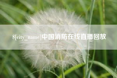 邢台中国消防在线直播回放