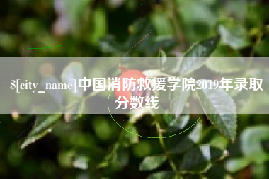 邢台中国消防救援学院2019年录取分数线