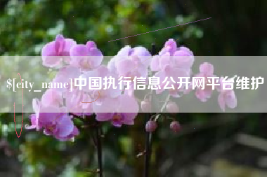 邢台中国执行信息公开网平台维护