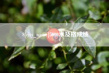 邢台5000米及格成绩