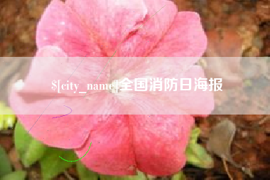邢台全国消防日海报
