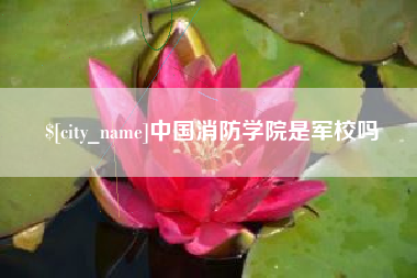 邢台中国消防学院是军校吗