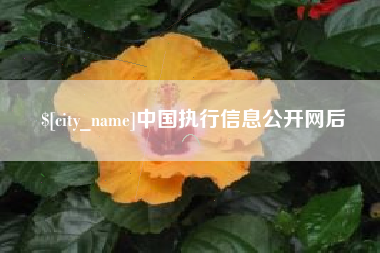 邢台中国执行信息公开网后