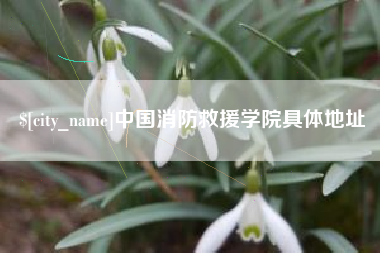 邢台中国消防救援学院具体地址