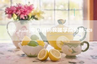 邢台中国消防救援学院分数2020