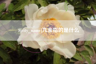 邢台九金指的是什么