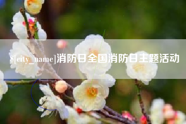 邢台消防日全国消防日主题活动