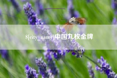 邢台中国九枚金牌