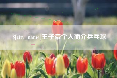 邢台王子豪个人简介乒乓球