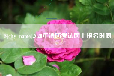 邢台2020年消防考试网上报名时间