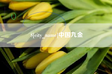 邢台中国九金