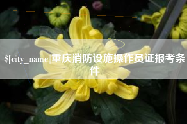 邢台重庆消防设施操作员证报考条件