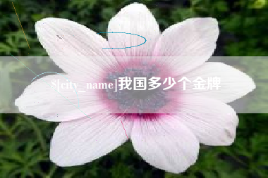 邢台我国多少个金牌