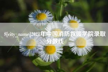邢台2021年中国消防救援学院录取分数线