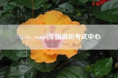 邢台全国消防考试中心