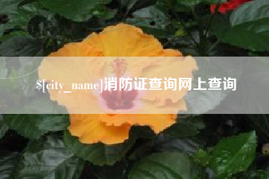 邢台消防证查询网上查询