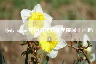 邢台中国消防救援学院属于985吗