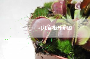 邢台九宫格分布图