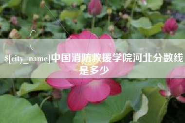 邢台中国消防救援学院河北分数线是多少