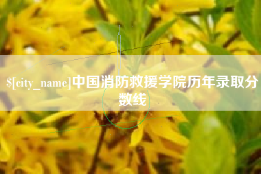 邢台中国消防救援学院历年录取分数线