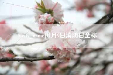 邢台11月9日消防日全称