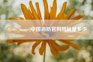 邢台中国消防官网网址是多少