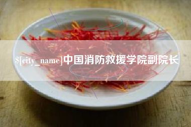邢台中国消防救援学院副院长