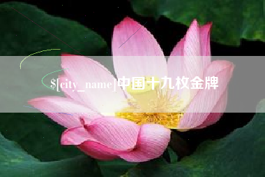 邢台中国十九枚金牌