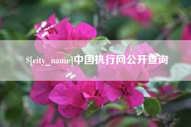 邢台中国执行网公开查询