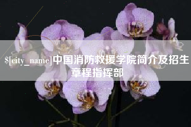 邢台中国消防救援学院简介及招生章程指挥部