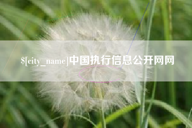 邢台中国执行信息公开网网
