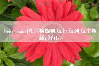 邢台九宫格规则,每行,每列,每个粗线都有1-9