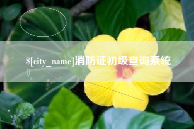 邢台消防证初级查询系统